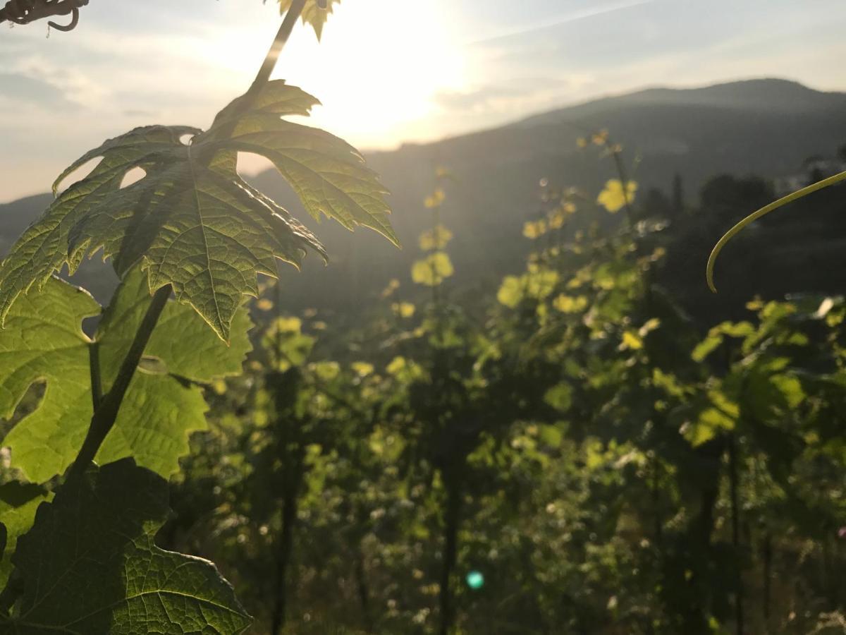 Locanda "Al Terrazzo" Erbezzo Bagian luar foto